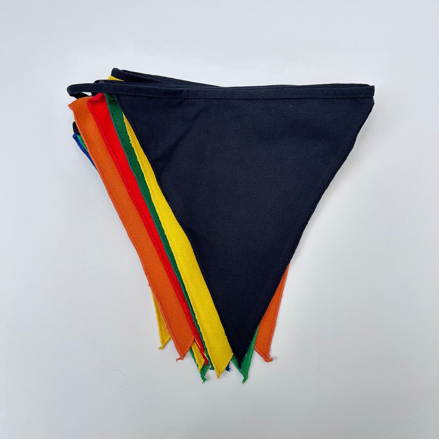 Vibrant Canvas Bunting - Large